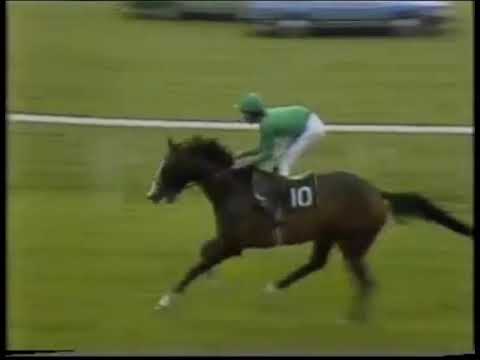 1981 Irish Derby Shergar