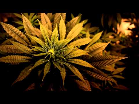 Jingbong Ting feat. Bob Marley, Peter Tosh & Bunny Wailer - Mr Brown (Jacky Murda Remix)