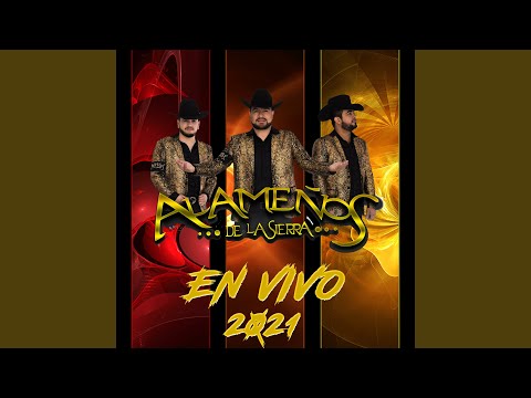 El Sinaloense (En Vivo)