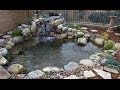 Ponds Gone Wrong Backyard Ponds Episode 2 Part 2