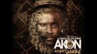 Akon - Call Da Police feat Busta Rhymes (Konkrete Jungle).mp4