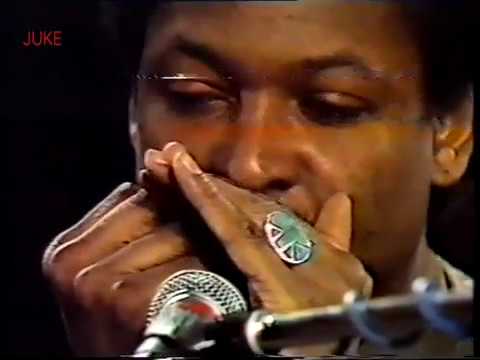Americn Folk Blues Festival 1981 (Live Video)