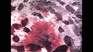 Muslimgauze -- Dimashq Frequency B