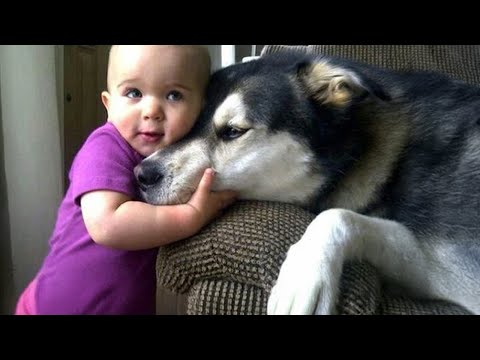 Quand votre bébé grandit avec ses meilleurs amis