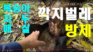 [복숭아재배]