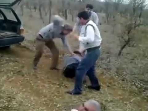 avotuzebra’s Video 119420192407 lS4X3vhDw1w