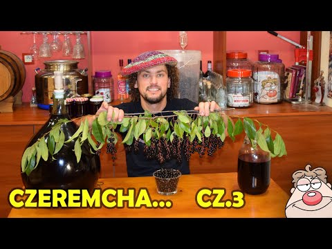 Wino z czeremchy część 3 - Czy warto?