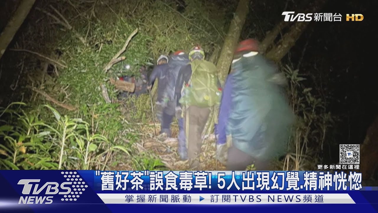 大花曼陀羅葉誤當「甲酸漿」!5人採食山區野葉險送命