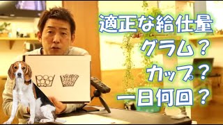 愛犬に与えるドッグフードの適正量。　肥満犬　ガリガリ犬