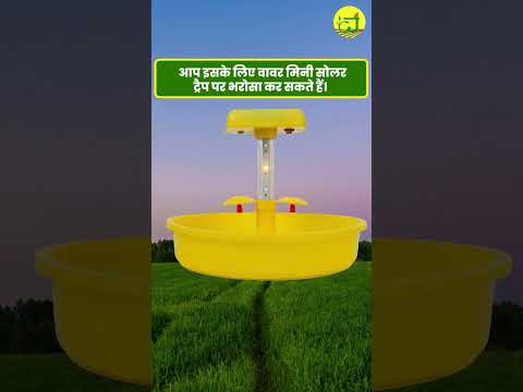 Wavar Jadugar (Mini Solar Insect Trap) video 5