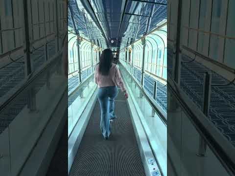 Thumbnail for My favourite part of Carnival Adventure! 🛳️💃🏻#shiptour #carnivaladventure #carnivalencounter