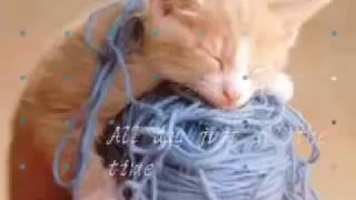 Kelly Chen 陳慧琳-Love Paradise