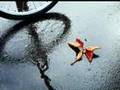 Gary Moore - Gonna Rain Today