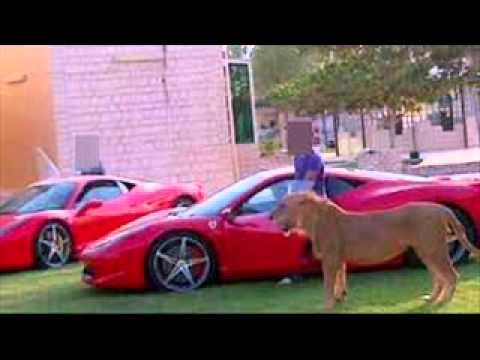 ·$▲INT M▲RCU$· No Hay Prisa (Prod.Schmolzer Beatz)