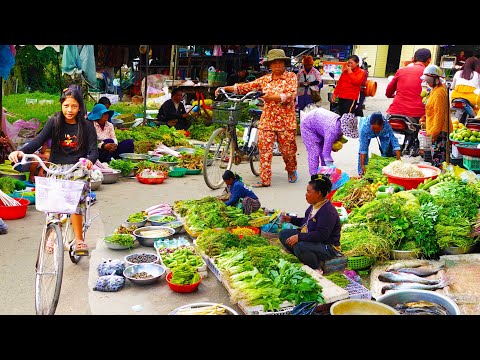 Cambodian Countryside Food Market   Ang Ta Som Market & Takeo Market