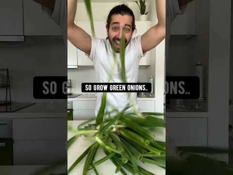 , title : 'How to Grow Never-Ending Green Onions | creative explained'