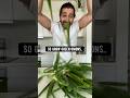 How to Grow Never-Ending Green Onions | creative explained
