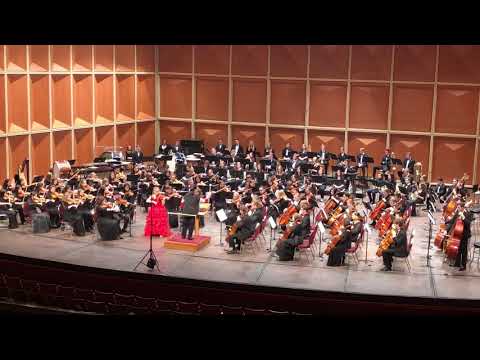 Zigeunerweisen, Op.20 by Pablo de Sarasate