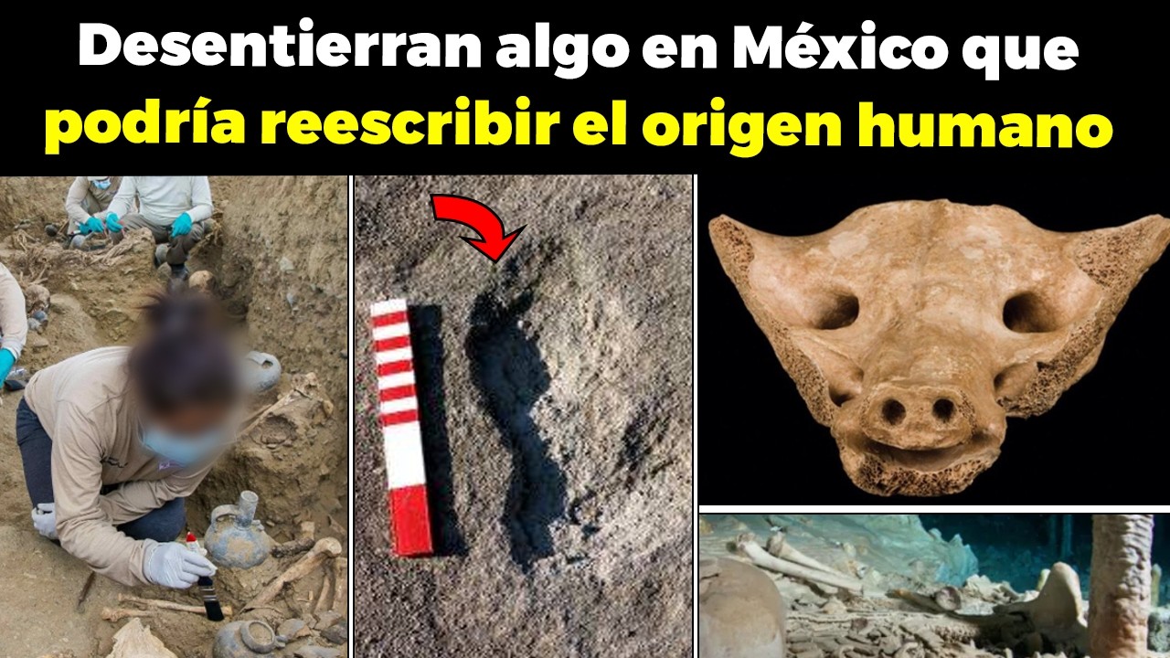 DESENTIERRAN algo en México que Podría Reescribir el Origen de la Humanidad
