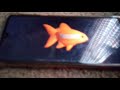Nickelodeon Fish Logo