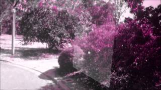 F ingers - Escape Into The Bushes