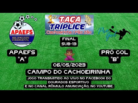 #255 Copa Tríplice de Futebol Suíço - FINAL (Sub-13) / APAEFS "A" X PRÓ GOL "B"