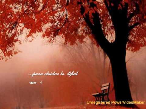 Almas Gemelas. Poema