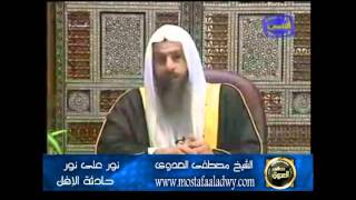 منوعات 330 نور على نور    حادثة الافك