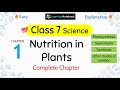 Class 7 Science Nutrition In Plants Class 7 Science Chapter 1