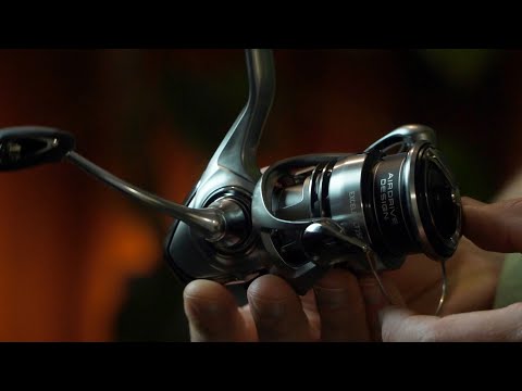 BESTE ROLLE UNTER 200,00 AU$?? - 23 Daiwa Exceler 2500