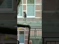 BOZE MAN trapt raam kapot | #shorts