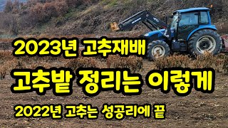 고추밭 정리 트랙터 2023년 고추 재배를 위하여 고추대 파쇄  [고추재배방법]
