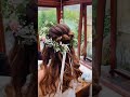 Bridesmaid Hair by Whyte Crown Bridal Hair