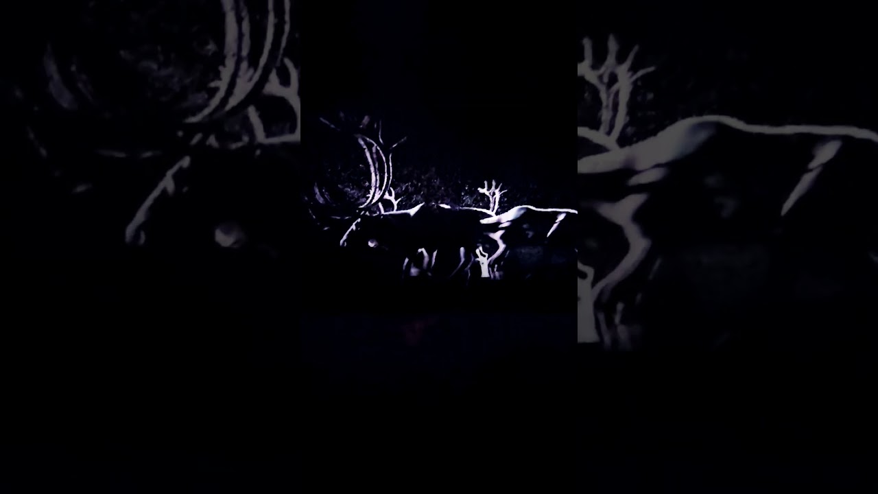 YouTube Short thumbnail