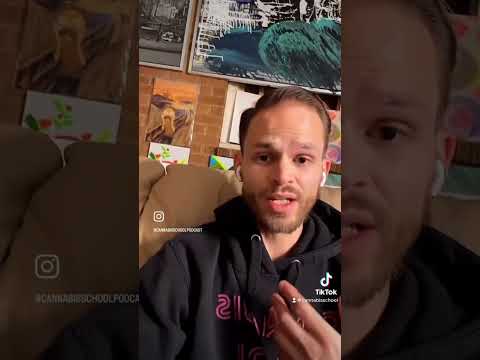 Mormons on mushrooms ?