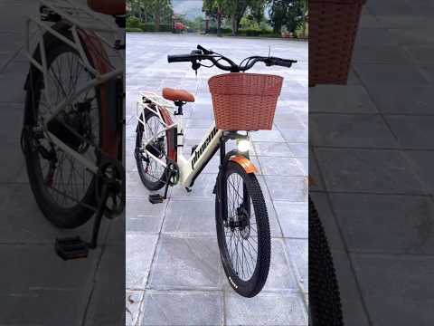 Xe đạp điện trợ lực Phoenix C1 15Ah