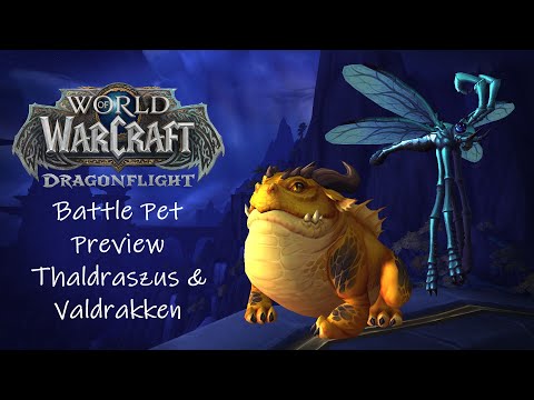 Dragonflight Battle Pet Preview: Thaldraszus & Valdrakken