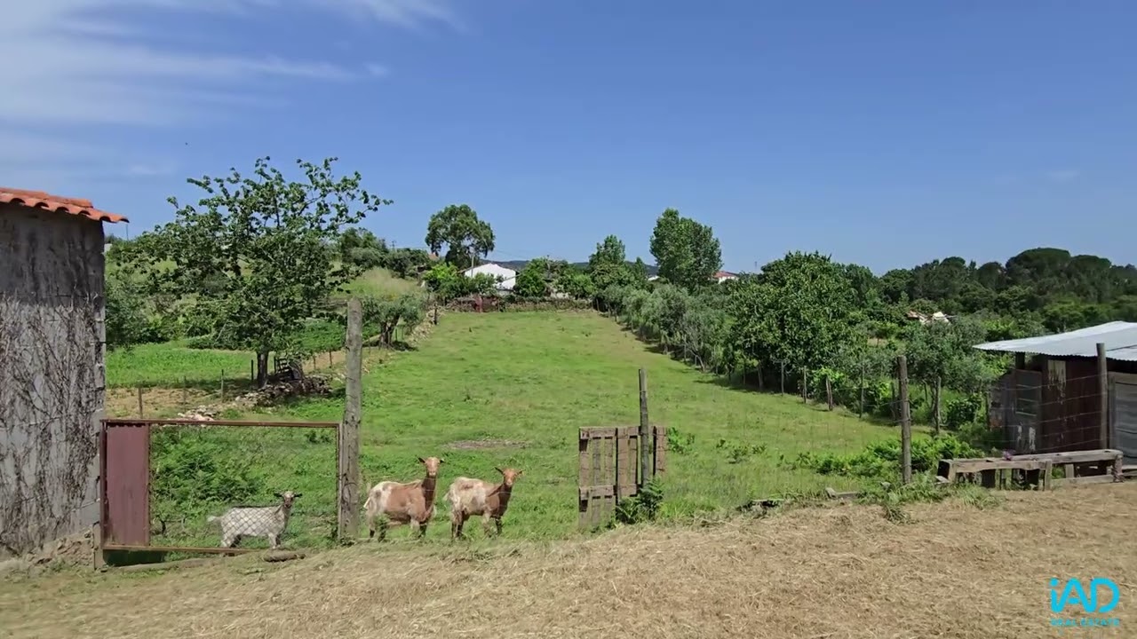 Vídeo do imóvel