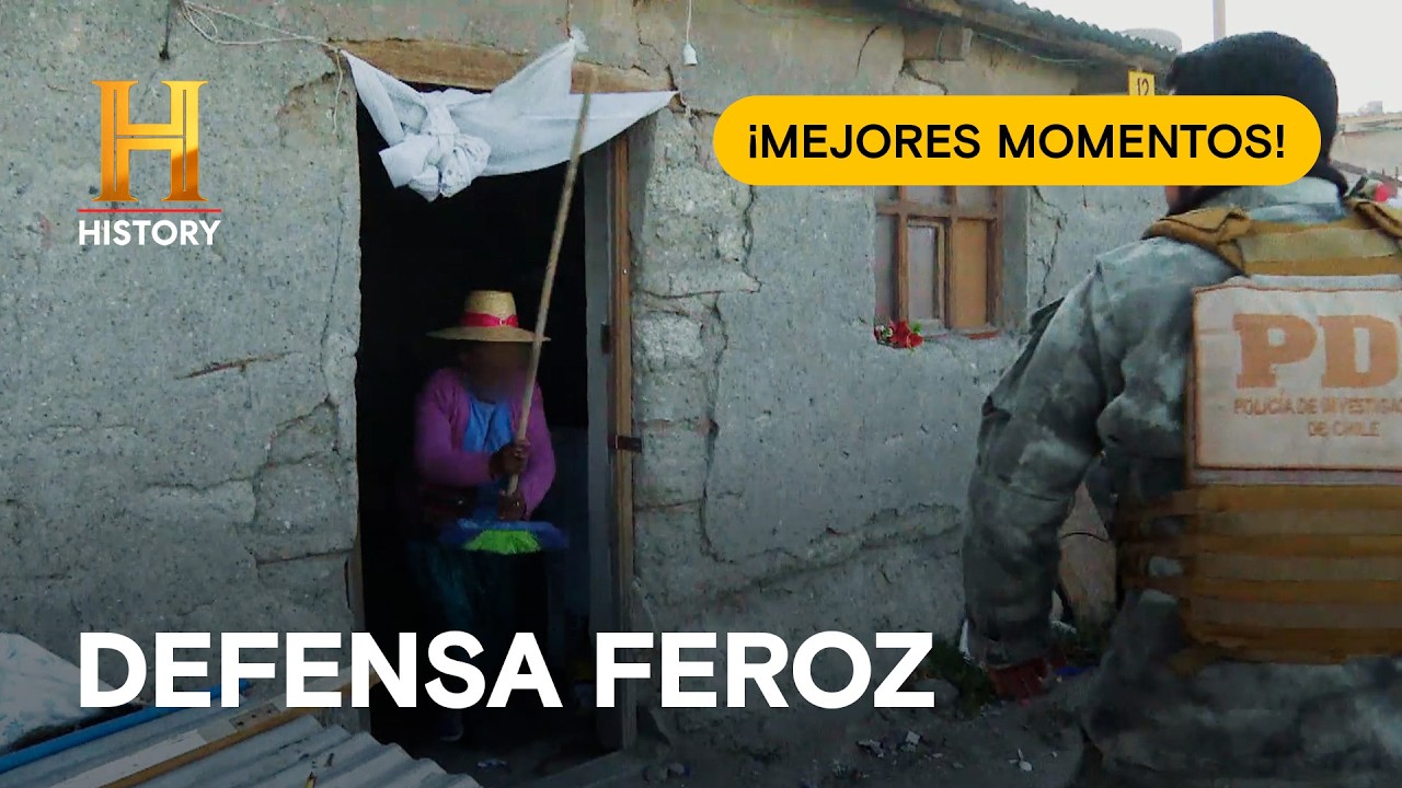 🇨🇱🇵🇪 Lo mejor de CHILE y PERÚ ⚠️🚨 ¡Contrabandistas atrapados! ⚠️ ¡ALTO! FRONTERA 🚧