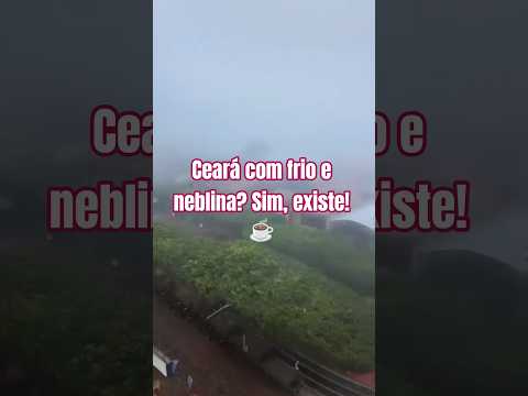Ceará com frio e neblina? Sim, existe! ☕