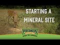 How to Start A Mineral Site Using Red Zone Block & Fall Harvest