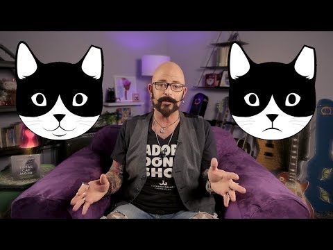 The Do's & Don'ts of Introducing Cats