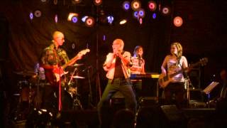 THE ROCK-A-LOOLA'S    SURFIN' BIRD