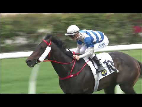 6/3/2022 (478) Free Foal - Z Purton