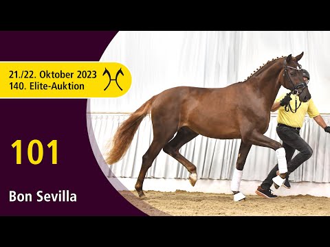 140th Elite-Auction - Oct. 21/22 - No. 101 Bon Sevilla by Bon Courage - Sir Donnerhall