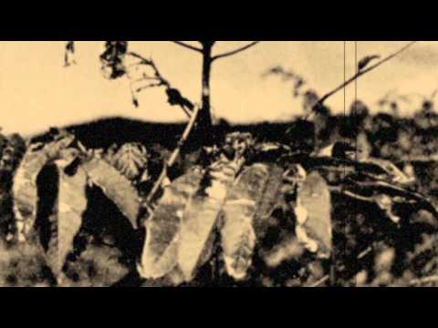 STEELWING - "Reset, Reboot, Redeem"