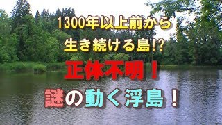正体不明！謎のミステリースポット「大沼の浮島」