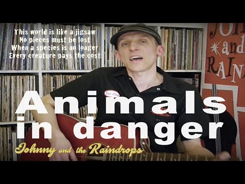 Endangered animals song for children. 'Animals in danger' with lyrics