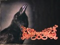 SATURNUS - Raven God (1995) 
