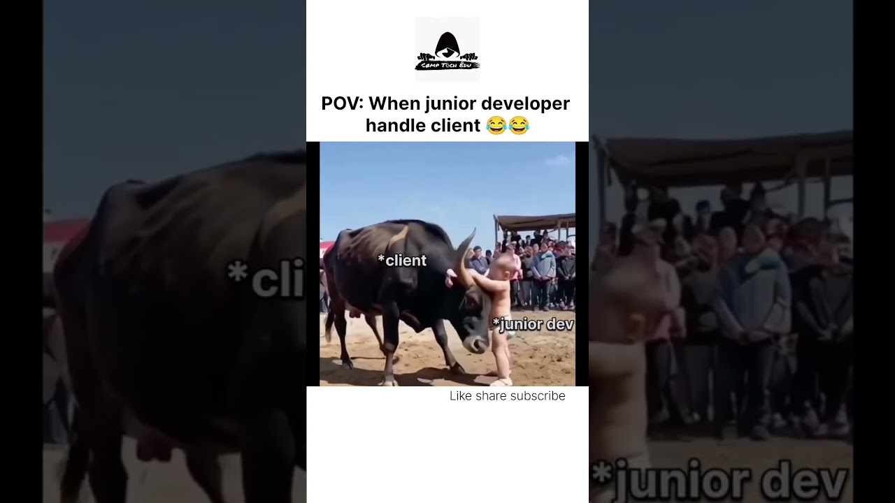 Junior developer | programmers life #programmerslife #memes #codelife #coderlife #programmerlife